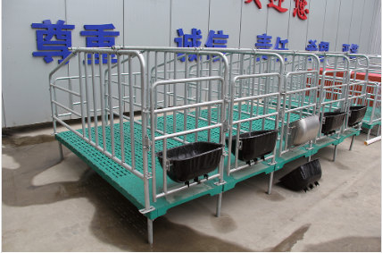 為什么要使用母豬定位欄？
